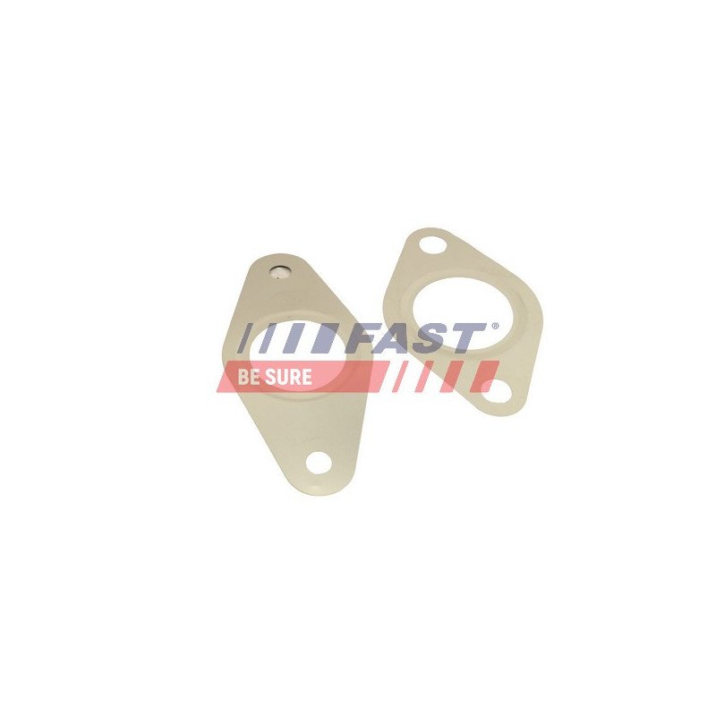 FT50621 Gasket Set, EGR system