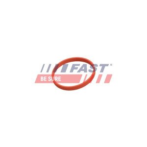 FT50628 Gasket, EGR valve