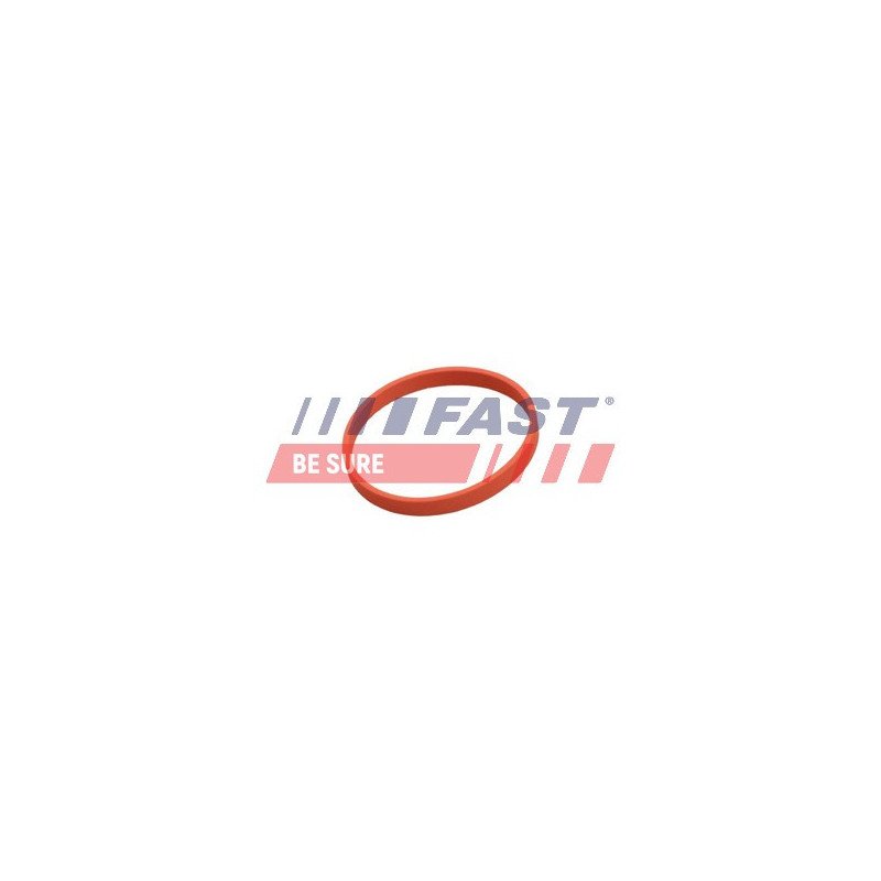 FT50628 Gasket, EGR valve