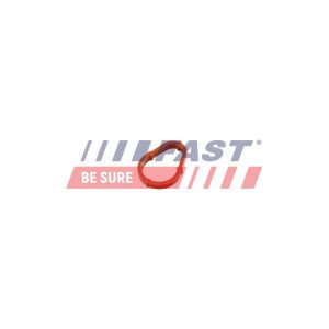 FT50702 Gasket, vacuum pump