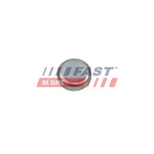 FT50816 Frost Plug