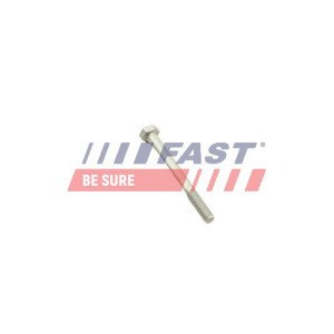 FT51601 Screw, injection nozzle holder