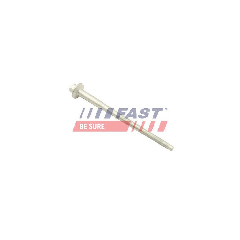 FT51604 Screw, injection nozzle holder