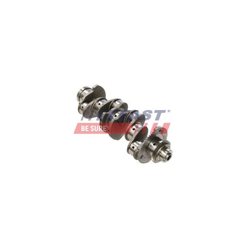 FT51702 Crankshaft