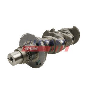 FT51705 Crankshaft