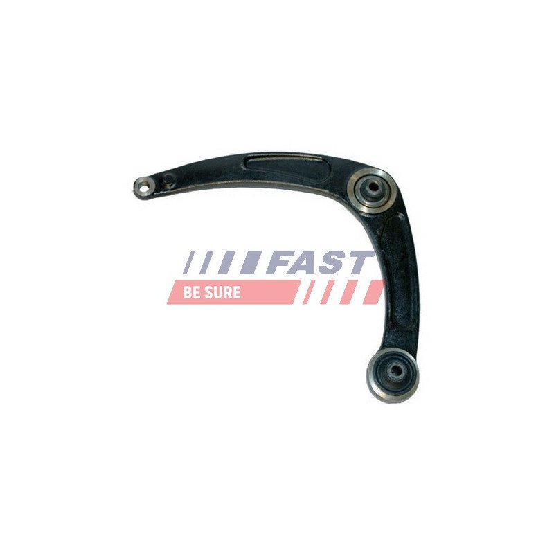 FT15677 Control/Trailing Arm, wheel suspension