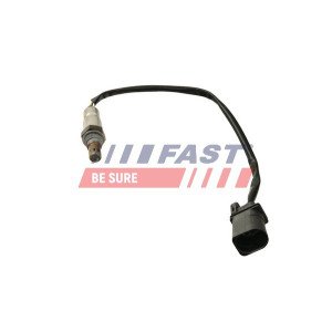 FT54111 Oxygen Sensor