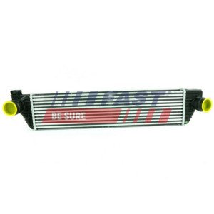 FT55528 Charge Air Cooler