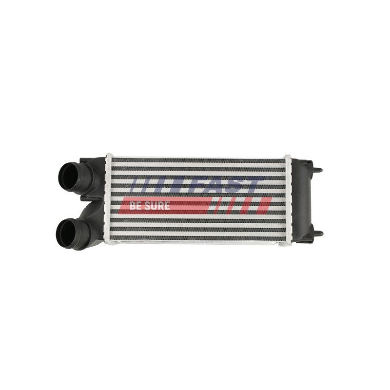 FT55573 Charge Air Cooler