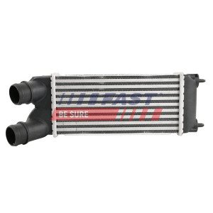 FT55575 Charge Air Cooler
