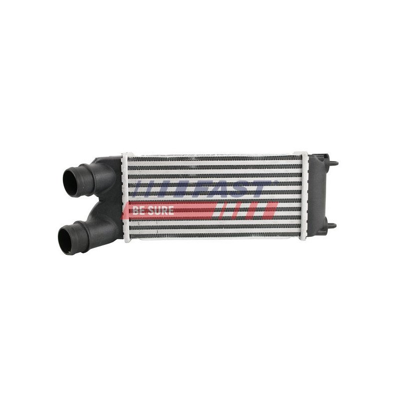 FT55575 Charge Air Cooler