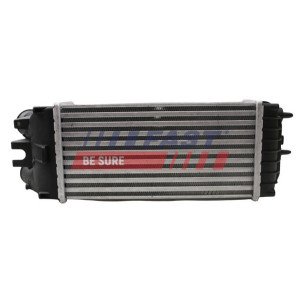 FT55600 Charge Air Cooler