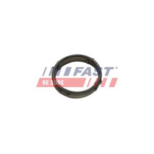 FT57406 Pakking, waterpomp