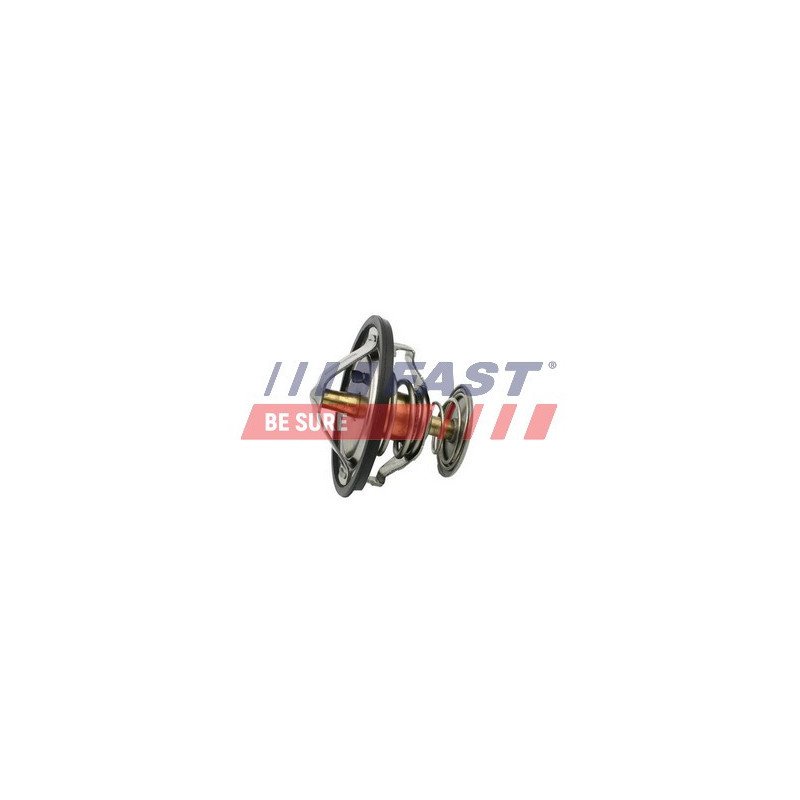FT58083 Thermostat, coolant