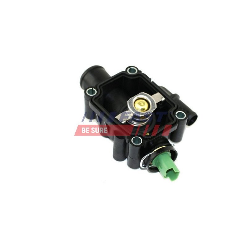FT58182 Thermostat, coolant