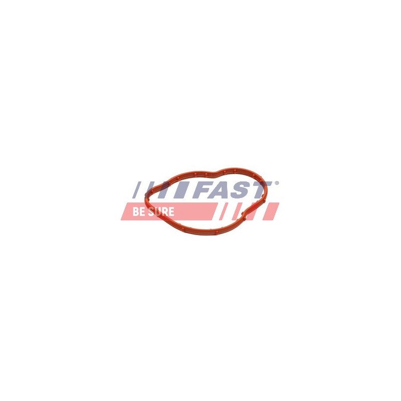 FT58305 Seal, thermostat