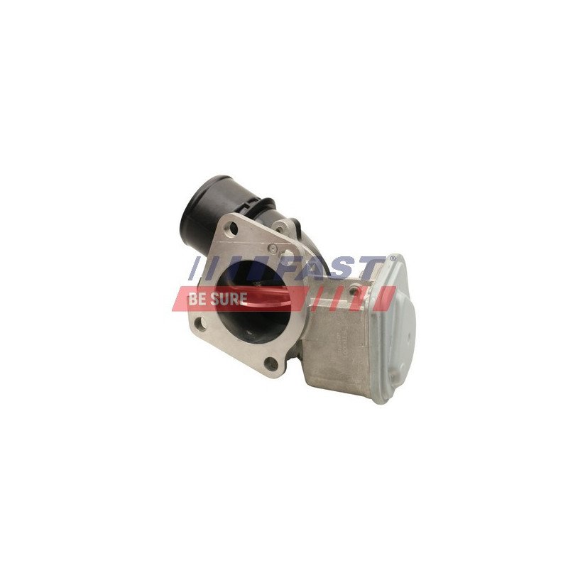 FT60001 Throttle Body