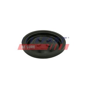 FT60101 Membrane, crankcase ventilation