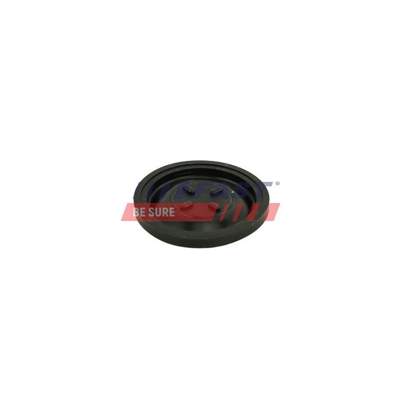 FT60101 Membrane, crankcase ventilation