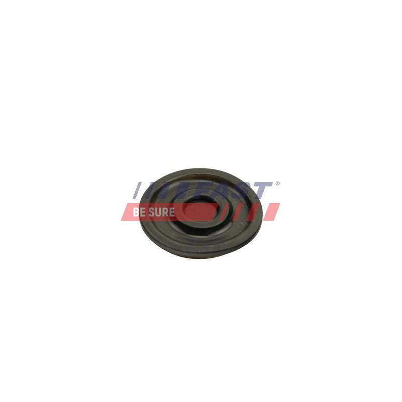 FT60103 Membrane, crankcase ventilation