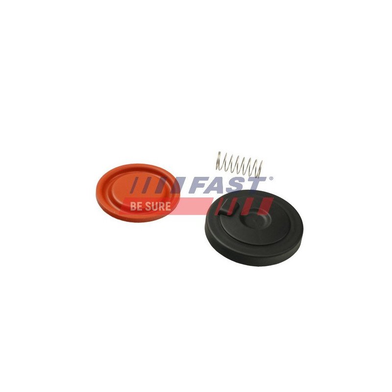 FT60106 Valve, crankcase ventilation