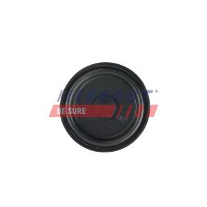 FT60107 Membrane, crankcase ventilation