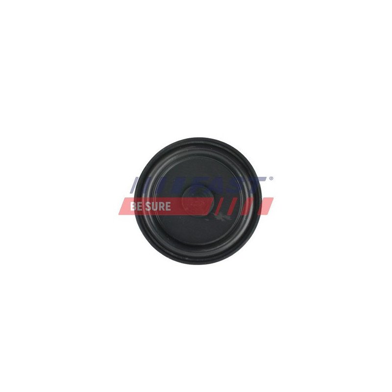 FT60107 Membrane, crankcase ventilation
