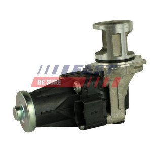 FT60205 EGR Valve