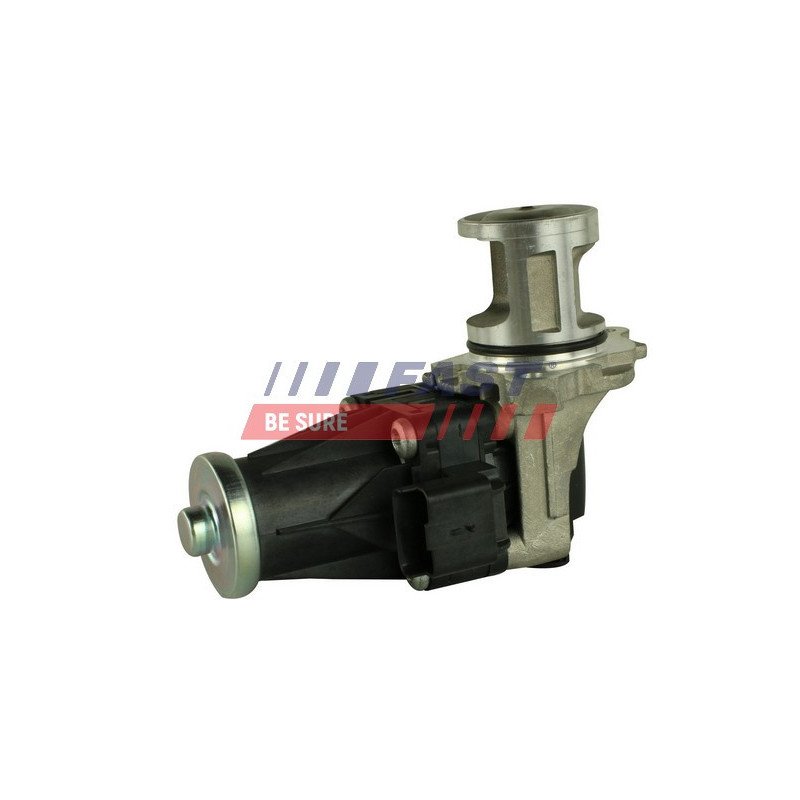 FT60205 EGR Valve