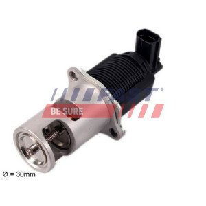 FT60207 EGR Valve