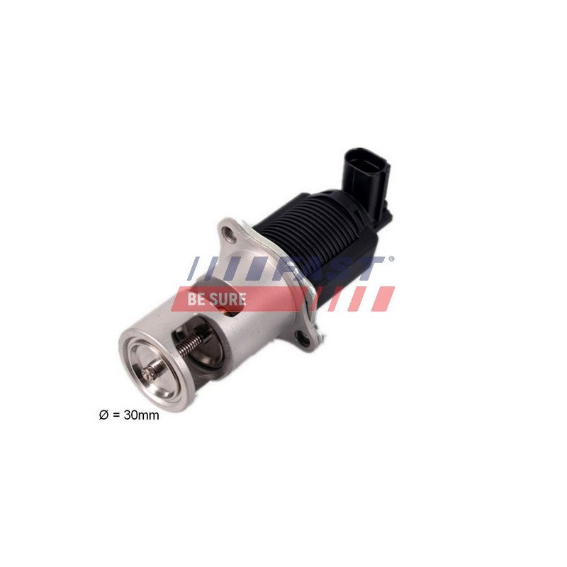 FT60207 EGR Valve