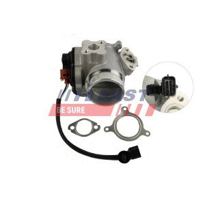 FT60209 EGR Valve