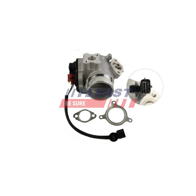 FT60209 EGR Valve