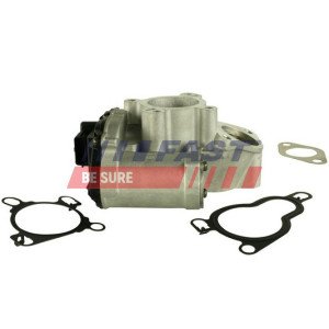 FT60211 EGR Valve