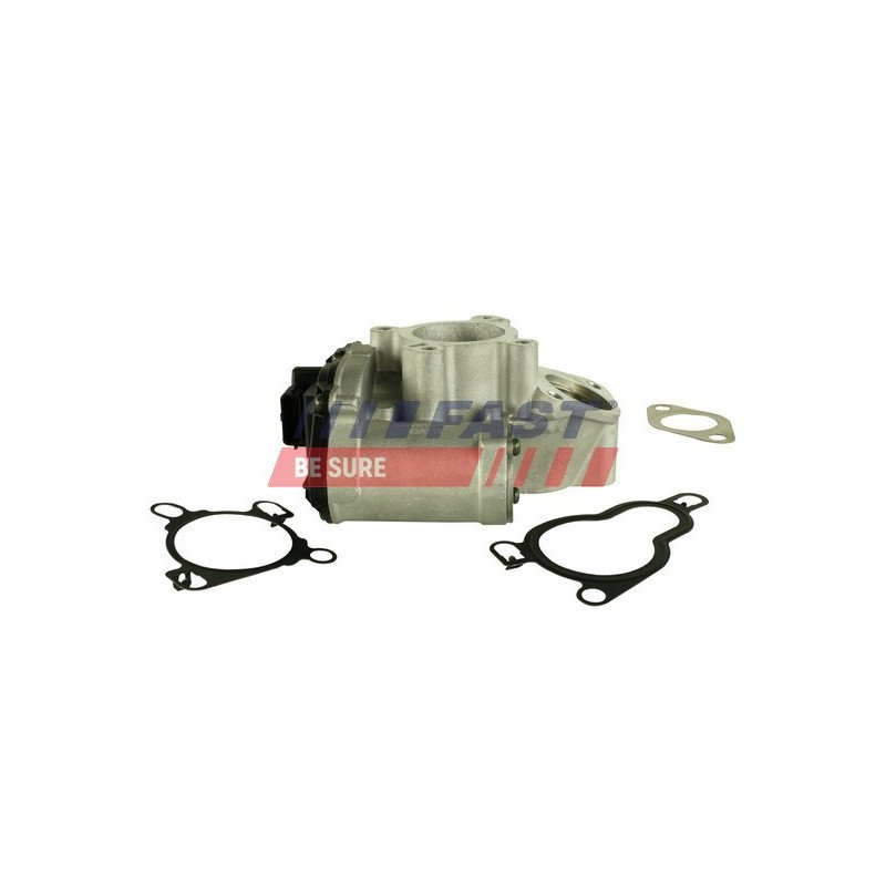 FT60211 EGR Valve