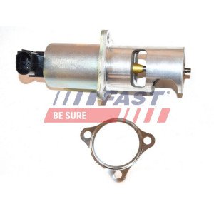 FT60212 EGR Valve