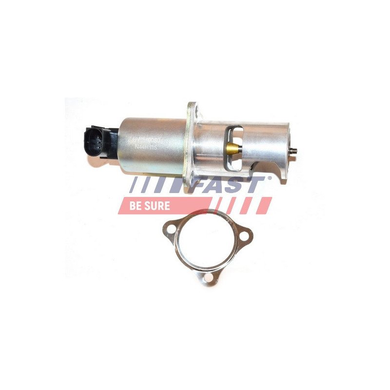 FT60212 EGR Valve
