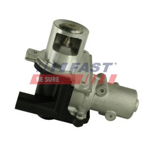 FT60214 EGR Valve