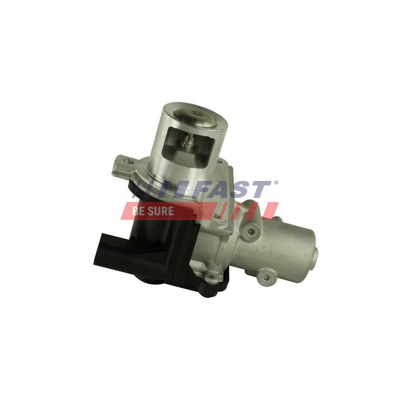 FT60214 EGR Valve
