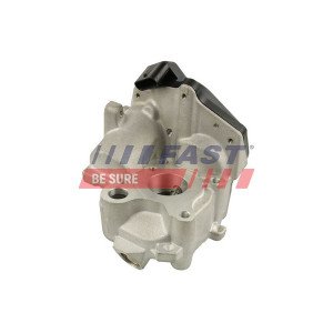 FT60218 EGR Valve