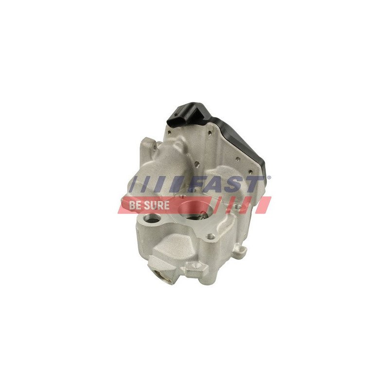 FT60218 EGR Valve