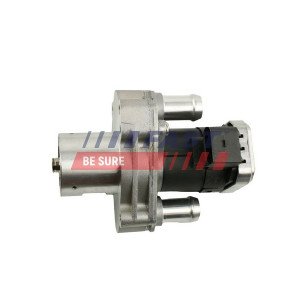FT60219 EGR Valve