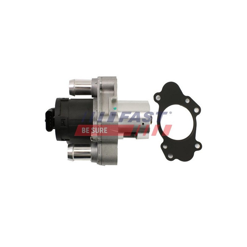 FT60220 EGR Valve