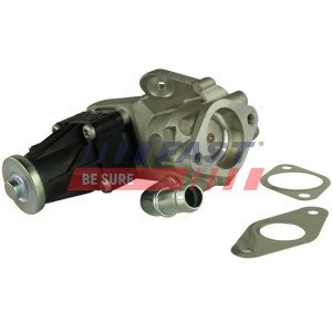 FT60223 EGR Valve