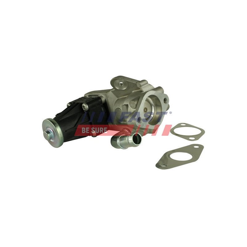 FT60223 EGR Valve
