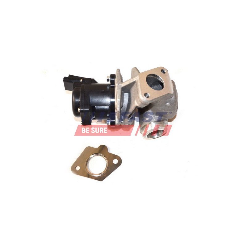 FT60225 EGR Valve