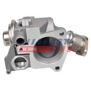 FT60229 EGR Valve