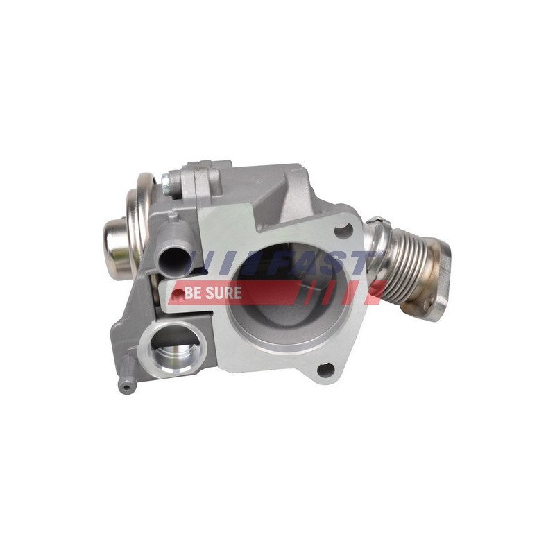 FT60229 EGR Valve