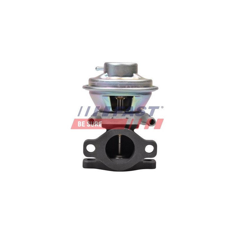 FT60230 EGR Valve