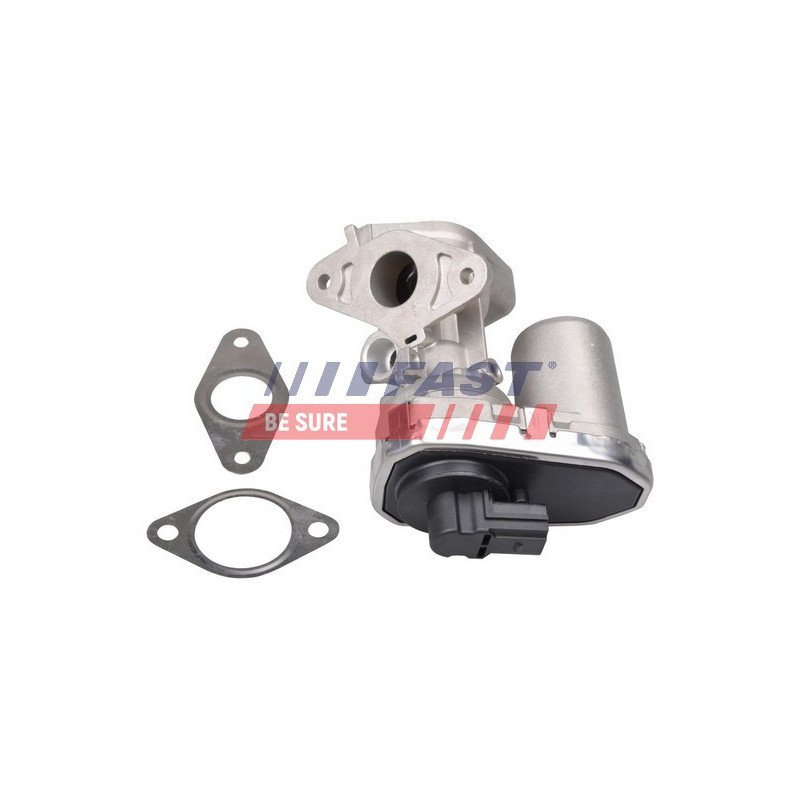 FT60232 EGR Valve
